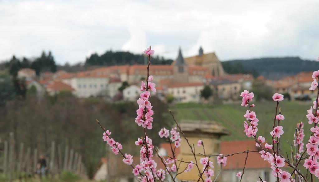 Gites Le Lancelot Ambierle Экстерьер фото